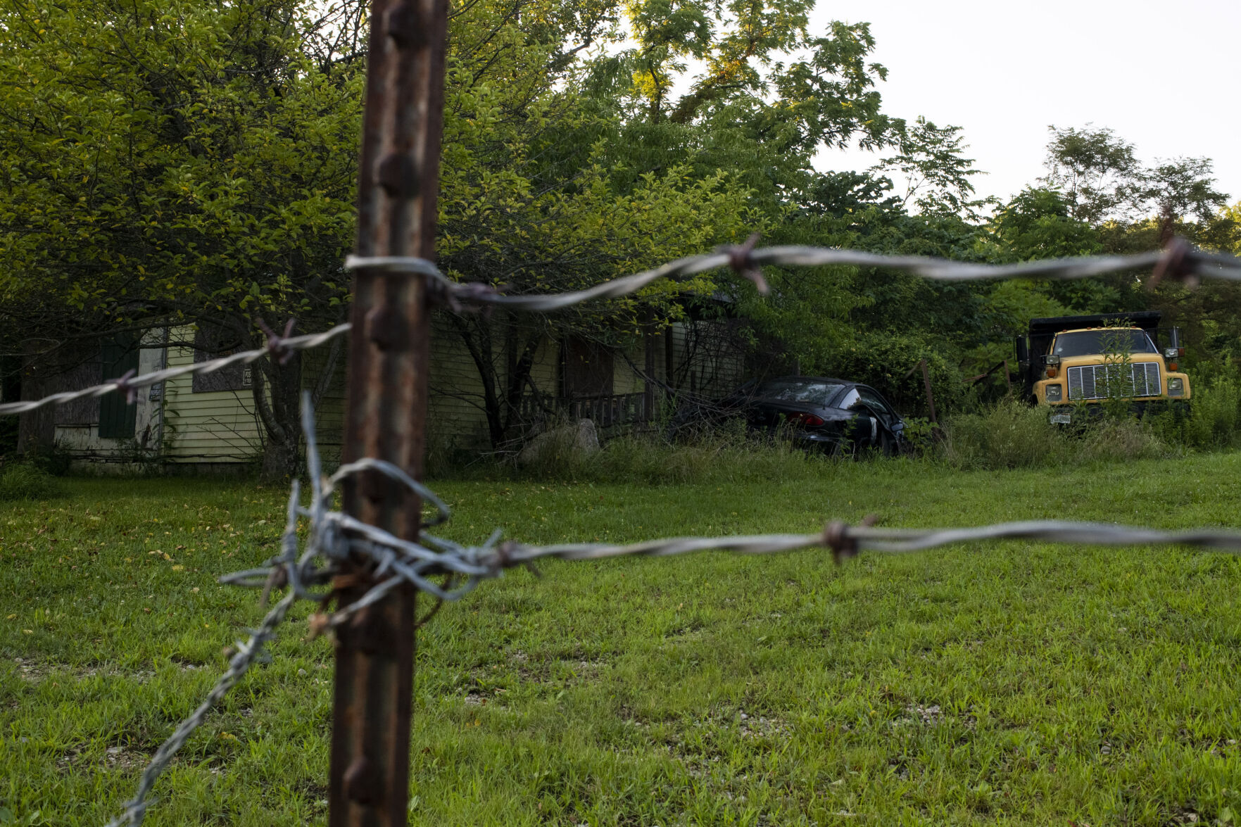 Old vehicles surrounded by weeds